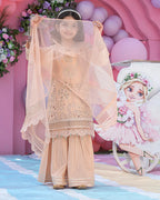 Peach Chikankari Cotton Gharara Outfit – 3 Piece – RZ1013