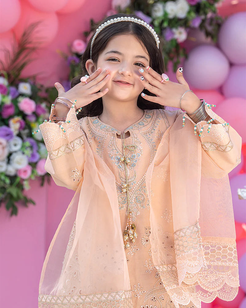 Peach Chikankari Cotton Gharara Outfit – 3 Piece – RZ1013