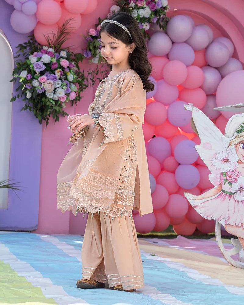 Peach Chikankari Cotton Gharara Outfit – 3 Piece – RZ1013