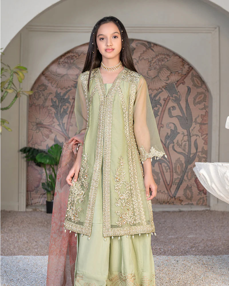 Pistachio Beige Luxury Organza Gown – 3 Piece – RZ3639