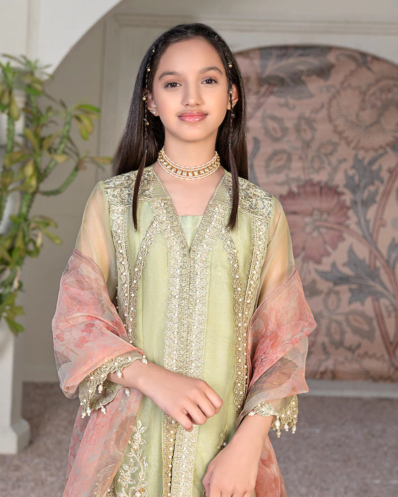 Pistachio Beige Luxury Organza Gown – 3 Piece – RZ3639