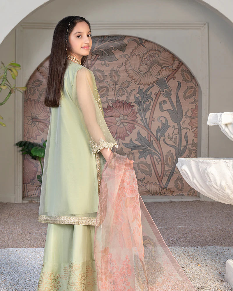 Pistachio Beige Luxury Organza Gown – 3 Piece – RZ3639