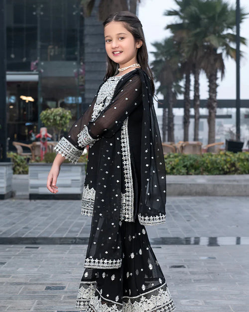 Black Embroidered Chiffon Ghararah – 3 Piece – RZ3837