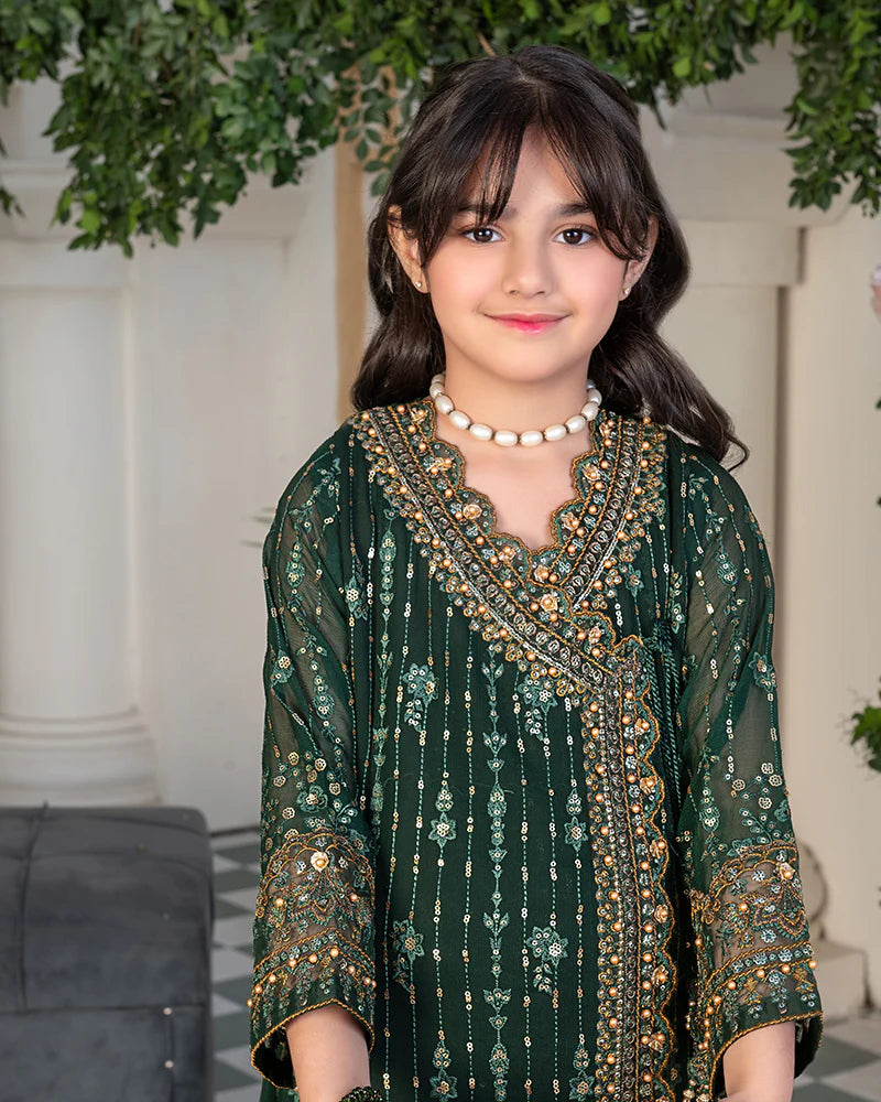 Green Embroidered Chiffon Angrakha Set – 3 Piece – RZ3860