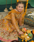 Mustard Gold Festive Embroidered Maxi – 3 Piece – RZ4068